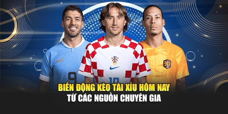 Kèo Tài Xỉu Hôm Nay Chuẩn Xác Dành Cho Giới Soi Kèo 7 Biến động kèo tài xỉu hôm nay từ các nguồn chuyên gia